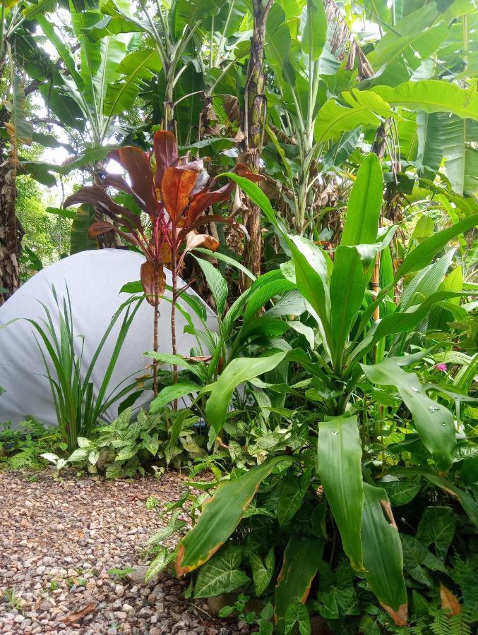 Camping Tropico De Capricornio - Ilhabela Esterno foto
