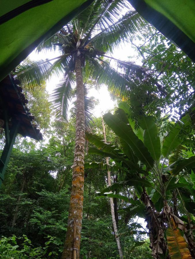 Camping Tropico De Capricornio - Ilhabela Esterno foto